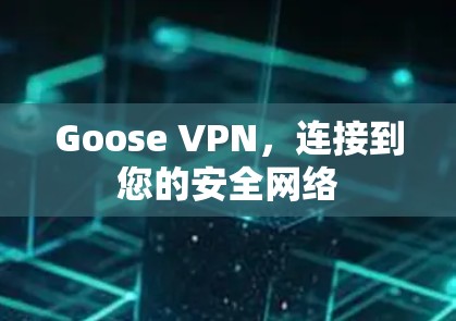 Goose VPN，连接到您的安全网络
