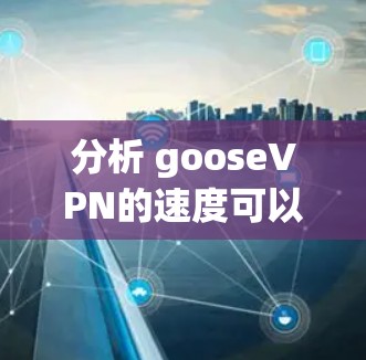 分析 gooseVPN的速度可以从多个角度入手，以下是综合考虑的因素