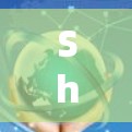 Shadowrocket 是一个复杂的策略游戏，其规则配置涵盖了多个关键方面，旨在为玩家创造一个既有策略深度又有适度节奏的游戏体验。以下是对规则配置的详细总结