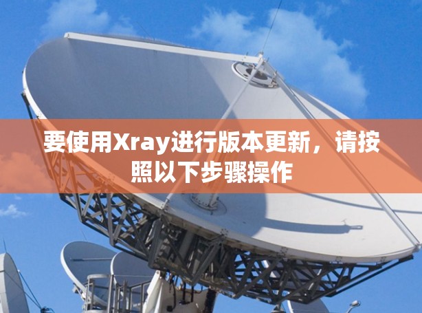 要使用Xray进行版本更新，请按照以下步骤操作