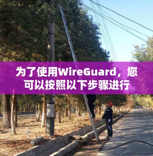 为了使用WireGuard，您可以按照以下步骤进行