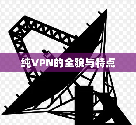 纯VPN的全貌与特点