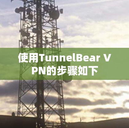 使用TunnelBear VPN的步骤如下