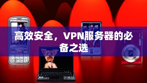 高效安全，VPN服务器的必备之选