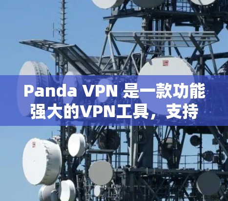 Panda VPN 是一款功能强大的VPN工具，支持多种设备和设置，适合个人用户和企业用户。以下是使用Panda VPN的指南
