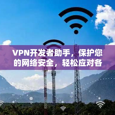 VPN开发者助手，保护您的网络安全，轻松应对各种问题