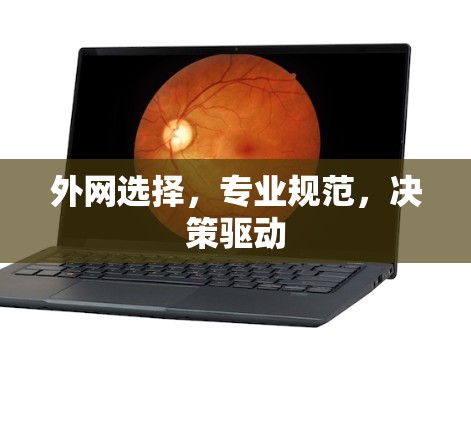 外网选择，专业规范，决策驱动