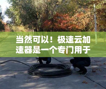 当然可以！极速云加速器是一个专门用于释放更多云存储资源的工具，可以帮助用户更好地管理云资源。如果你对极速云加速器感兴趣，以下是一个详细的步骤指南，帮助你下载并安装它