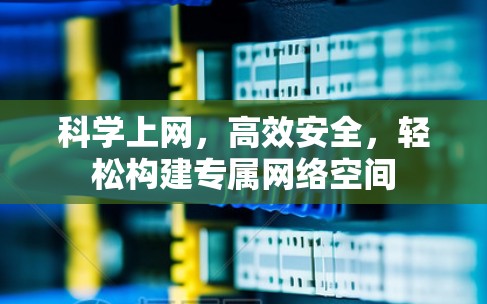 科学上网，高效安全，轻松构建专属网络空间