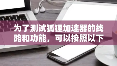 为了测试狐狸加速器的线路和功能，可以按照以下步骤进行