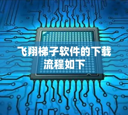 飞翔梯子软件的下载流程如下