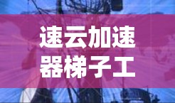 速云加速器梯子工具是一种结合加速器技术和梯子结构的设备，旨在通过物理加速将特定技术或工具加速运行。以下是对其结构、功能、应用和使用的详细分析