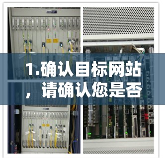 1.确认目标网站，请确认您是否有特定的域名或网站名称，如极光加速器是否指的是某个特定的网站或工具